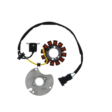 168038.jpg STATORE APRILIA 50 2T RS4-50 RX-50 SX EURO 4