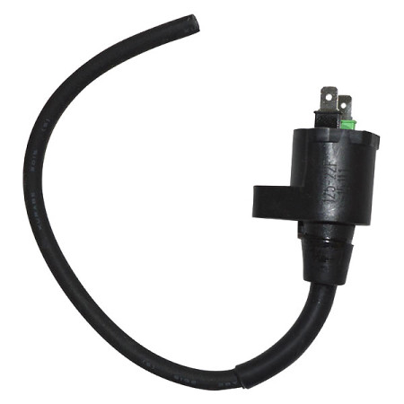 168191.jpg BOBINA SCOOTER HONDA/PEUGEOT/PIAGGIO Codici Sostitutivi   004741-0047417