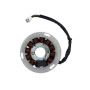 169041.jpg STATORE 12 POLI PIAGGIO VESPA PX 125/150 2011/ 