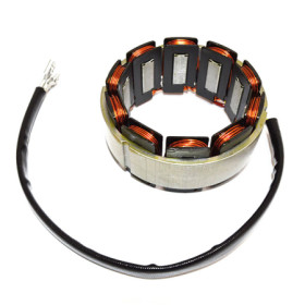 169992.jpg STATORE X ALTERNATORI 300W SAPRISA
