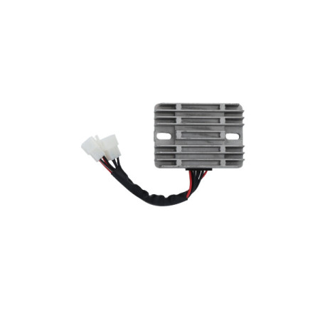 172508.jpg REGOLATORE SUZUKI DL 1000 V -STROM 03/13