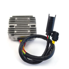 172585.JPG REGOLATORE BMW F 650/800 GS - F 800 ST/GT