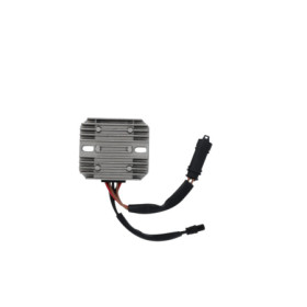 172586.jpg REGOLATORE BMW F 700/800GS 15/18 - G 650X- C 400