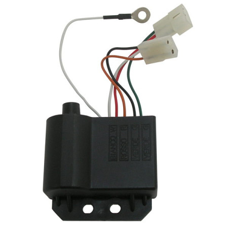 1732109.jpg CENTRALINA DERBI SENDA 50 IMP.LEONELLI Codice sostitutivo   179088