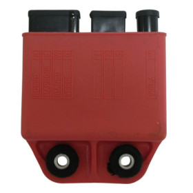 173297.jpg CENTRALINA PIAGGIO 125/150/180 2T ACQUA