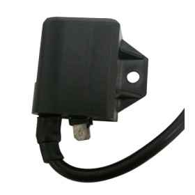 MARSRV03SISTEMIIMGSGR173404.jpg BOBINA/CDI 50 CROSSER-ADDRESS M.MORINI