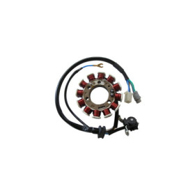 MARSRV03SISTEMIIMGSGR174502.jpg STATORE 12 POLI YAMAHA XT 125 R/X 02/06