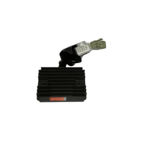 175920.jpg REGOLATORE HONDA CBR 1100XX  99/00