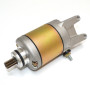 MARSRV03SISTEMIIMGSGR1781258.jpg MOTORINO AVVIAMENTO PIAGGIO MOT.250 BEVERLY/X9 codici sositutivi   178125