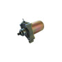 MARSRV03SISTEMIIMGSGR1781697.jpg MOTORINO AVVIAMENTO APRILIA 125 RS-CLASSIC codici sostitutivi   178169