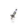 MARSRV03SISTEMIIMGSGR20122589.jpg LAMPADA PHILIPS H1 X-TREME VISION - 12V 55W - (Rif.Philips:12258X+VB1)