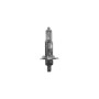 2075454.jpg LAMPADA HERT H1 ALOGENA 12V-55W XENON (E13)