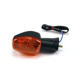 217971.jpg FANALE DIREZ.ANT.SX HONDA CBR600SPORT 01