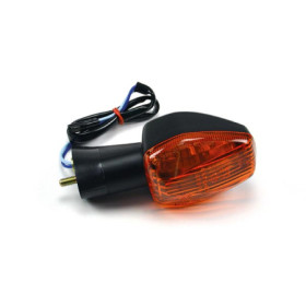 217972.jpg FANALE DIR.POST.DX HONDA CBR600 SPORT 01