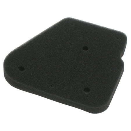 MARSRV03SISTEMIIMGSGR264310.jpg FILTRO ARIA MALAGUTI F10-F12-MBK EVOLIS Rif. MIW: Y4185