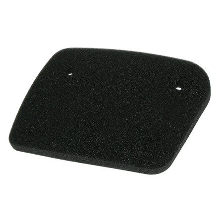 MARSRV03SISTEMIIMGSGR264358.jpg FILTRO ARIA APRILIA LEONARDO 125-150 Rif. MIW: P5102