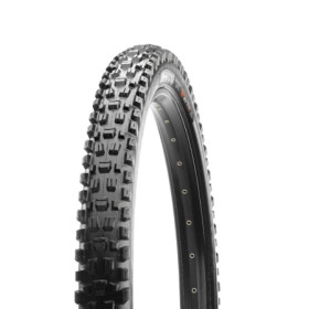 COP.ASSEGAI WT EXO+ TR 29X250 120TPI K 3C MAX TER TB00172500.jpg COP.ASSEGAI WT EXO+ TR 29X250 120TPI K 3C MAX TER