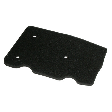 MARSRV03SISTEMIIMGSGR264430.jpg FILTRO ARIA IN SPUGNA MALAGUTI CIAK 50 Rif. MIW: MA32103