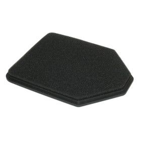 MARSRV03SISTEMIIMGSGR264609.jpg FILTRO ARIA DUCATI MULTISTRADA Rif. MIW: D6103