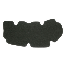 MARSRV03SISTEMIIMGSGR264654.jpg FILTRO ARIA PEUGEOT 125 GEOPOLIS Rif. MIW: PG34105