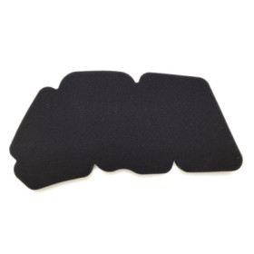 264781.jpg FILTRO ARIA PEUGEOT 125 CITYSTAR/SATELIS Rif. MIW: PG34110