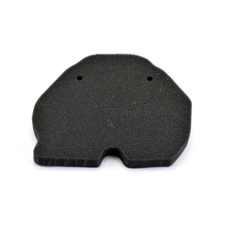 265189.jpg FILTRO ARIA BENELLI BN 302-302S-302R Rif.MIW: BE12903