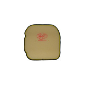 267300080.jpg FILTRO ARIA DT30008NO BMW G X 450