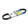 275001.jpg CINGHIA GATES LML 125 STAR AUTOMATICA