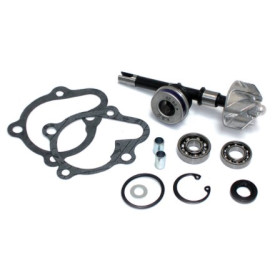 282007.jpg KIT RIPARAZIONE POMPA ACQUA KYMCO 125/150 DINK/LX/B&W