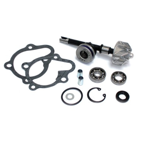 282007.jpg KIT RIPARAZIONE POMPA ACQUA KYMCO 125/150 DINK/LX/B&W