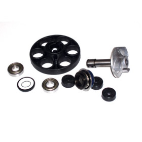 282009.jpg KIT RIPARAZIONE POMPA ACQUA C/DISCO APRILIA SR 50DITECH