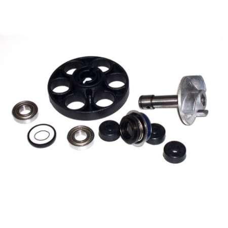 282009.jpg KIT RIPARAZIONE POMPA ACQUA C/DISCO APRILIA SR 50DITECH