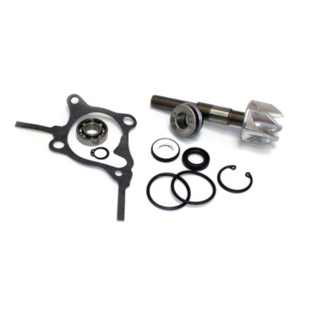 282010.jpg KIT RIPARAZIONE POMPA ACQUA HONDA 250 FORESIGHT/JAZZ
