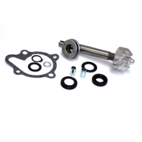 282014.jpg KIT RIPARAZIONE POMPA ACQUA KYMCO 125/200 DINK EURO3