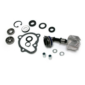 282015.jpg KIT RIPARAZIONE POMPA ACQUA KYMCO 250/300 X-CITING