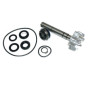 282016.jpg KIT RIPARAZIONE POMPA ACQUA KYMCO 500 X-CITING