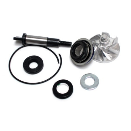 282019.jpg KIT RIPARAZIONE POMPA ACQUA HONDA 300 SH-FORZA