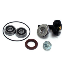 KIT RIPARAZIONE POMPA ACQUA PIAGGIO 300 GTS/X7 EVO 282022.jpg KIT RIPARAZIONE POMPA ACQUA PIAGGIO 300 GTS/X7 EVO