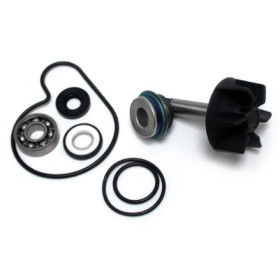 282025.jpg KIT RIPARAZIONE POMPA ACQUA SUZUKI 250/400 BURGMAN 98/06