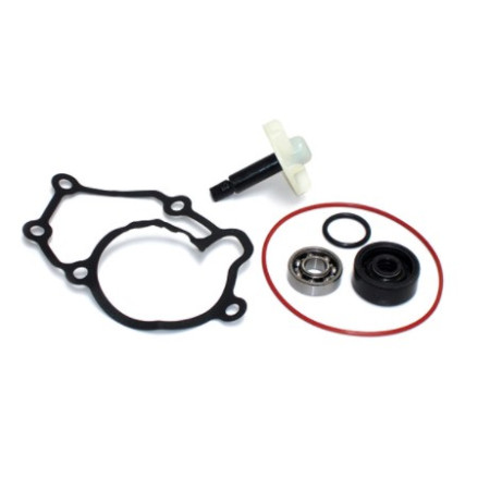 282029.jpg KIT RIPARAZIONE POMPA ACQUA YAMAHA 125 X-MAX/X-CITY