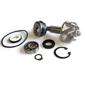 282031.jpg KIT RIPARAZIONE POMPA ACQUA HONDA PANTHEON 4 TEMPI 03/06