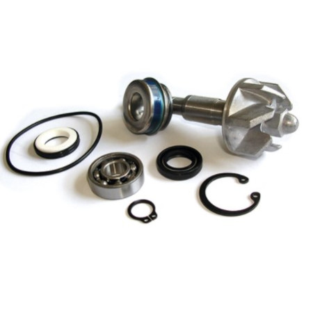282031.jpg KIT RIPARAZIONE POMPA ACQUA HONDA PANTHEON 4 TEMPI 03/06
