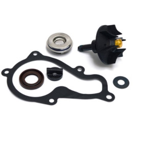 KIT RIPARAZIONE POMPA ACQUA PIAGGIO 350 BEVERLY-X10 282037.jpg KIT RIPARAZIONE POMPA ACQUA PIAGGIO 350 BEVERLY-X10