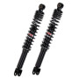 29402108.jpg COPPIA AMMORTIZZATORI YSS HYDRAULIC PEOPLE S 250 (RIF.YSS: TD220-390P-02-X)