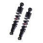 027837.jpg BULBO PRESSIONE OLIO BMW R BOX