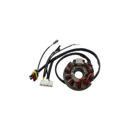 MARSRV03SISTEMIIMGSGR31143502.jpg DUCATI STATORE 12 POLI HM CRE 50
