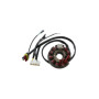 MARSRV03SISTEMIIMGSGR31143502.jpg DUCATI STATORE 12 POLI HM CRE 50