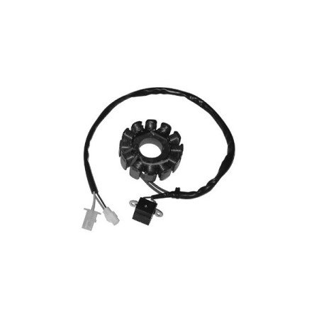 MARSRV03SISTEMIIMGSGR3114502.jpg DUCATI STATORE 12 POLI APRILIA 50 DITECH