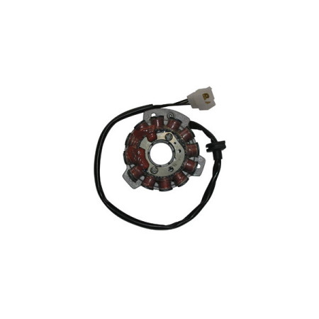 31146532.jpg DUCATI STATORE HUSQVARNA 125 WRE 07