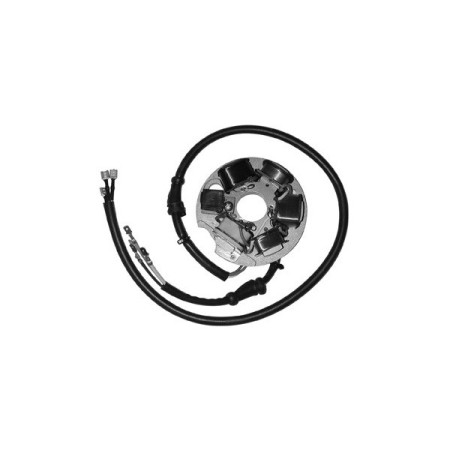 MARSRV03SISTEMIIMGSGR317310.jpg DUCATI STATORE PIAGGIO VESPA 125 ET3 Codice sostitutivo   163009